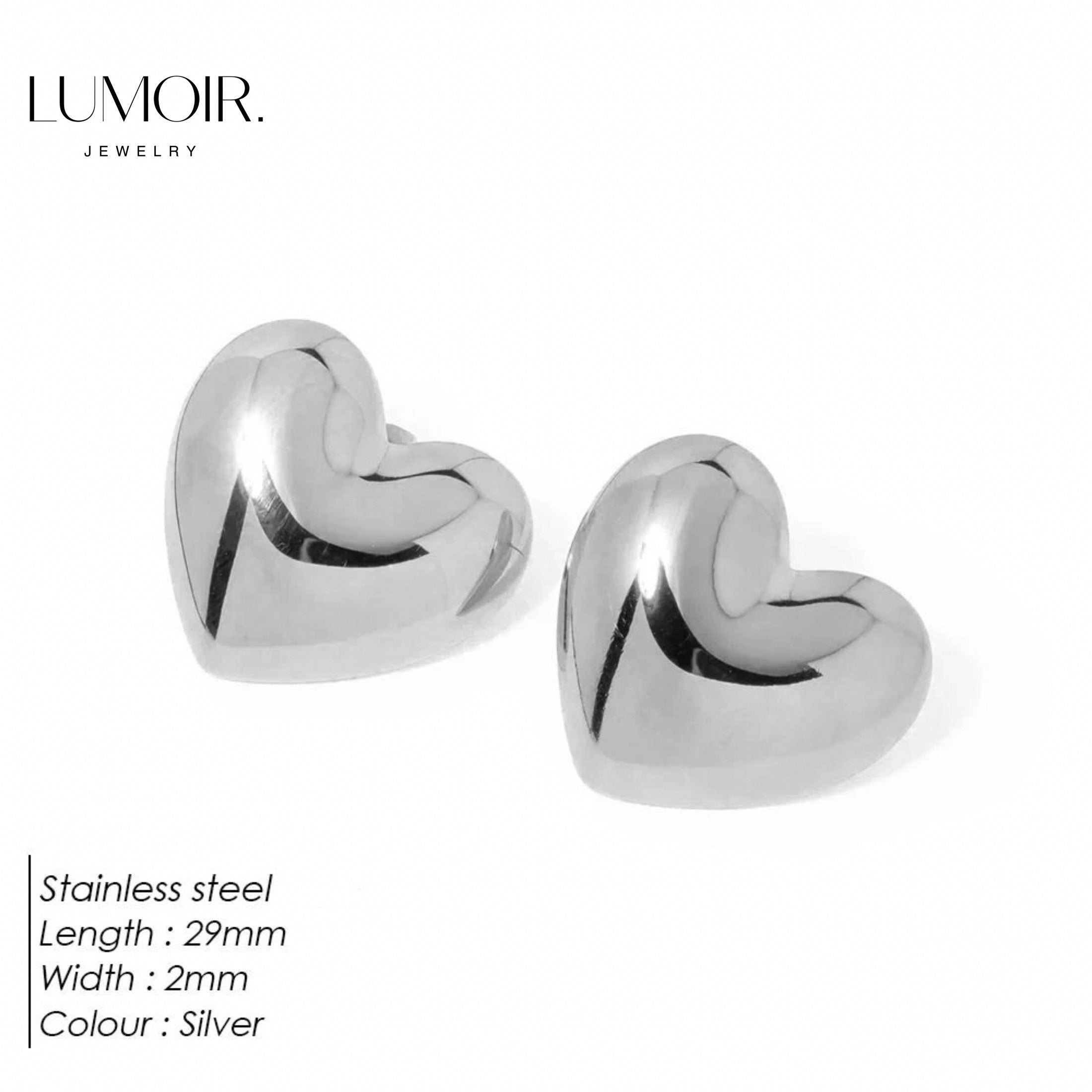 Stainless steel earrings Lunara