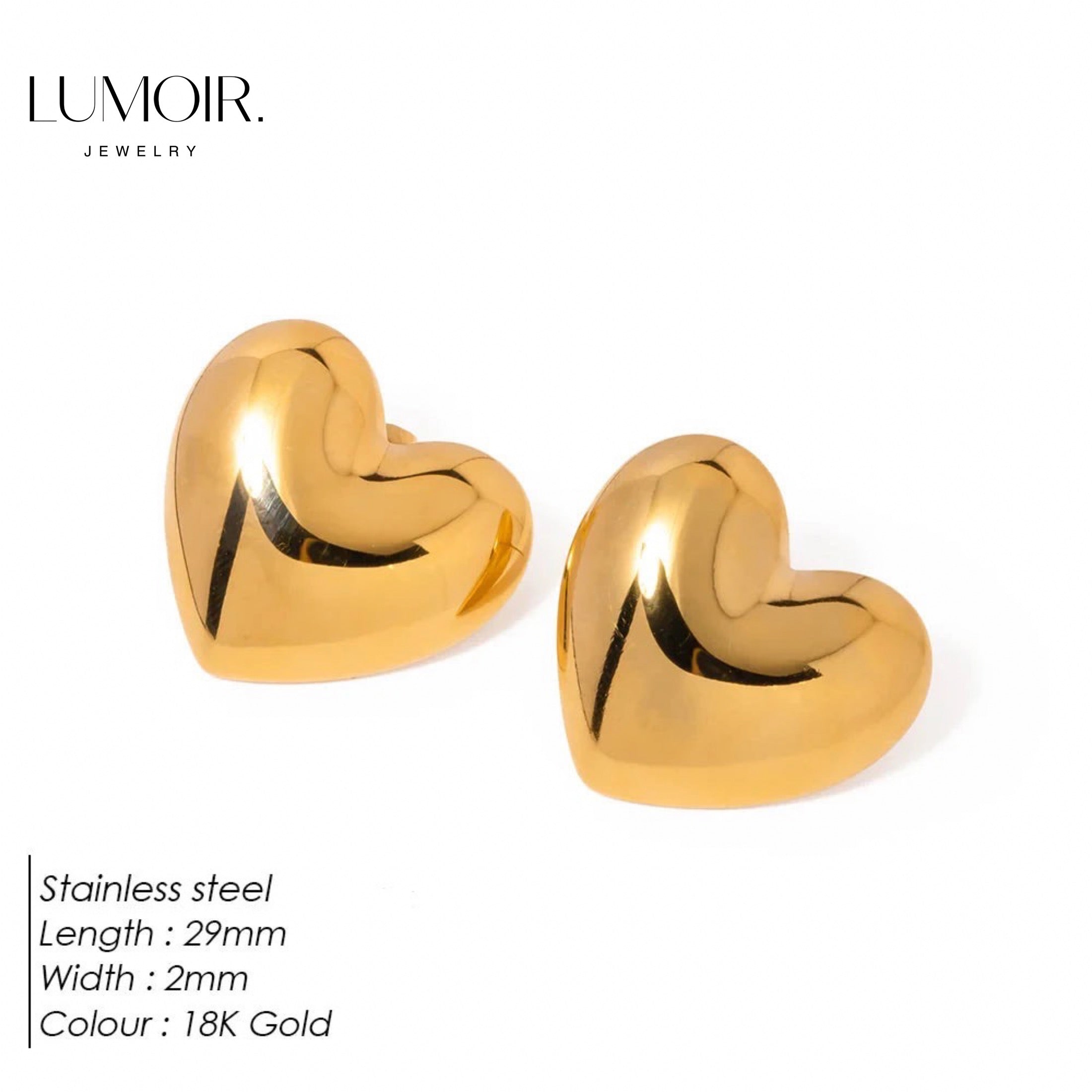 Stainless steel earrings Lunara