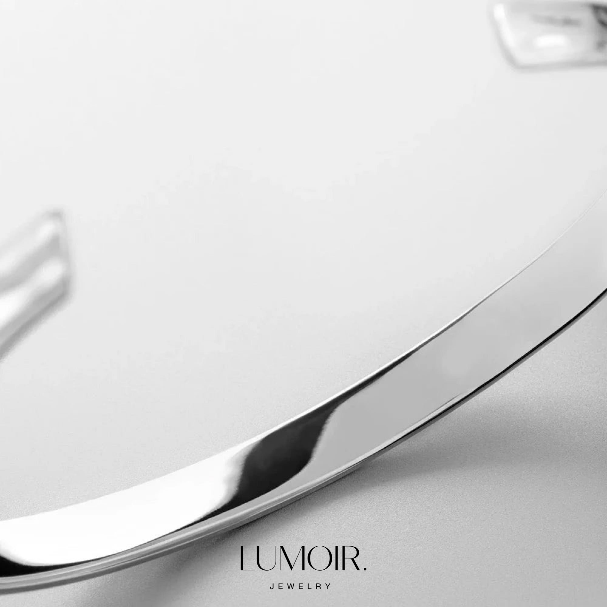 Stainless steel bangle Zeus