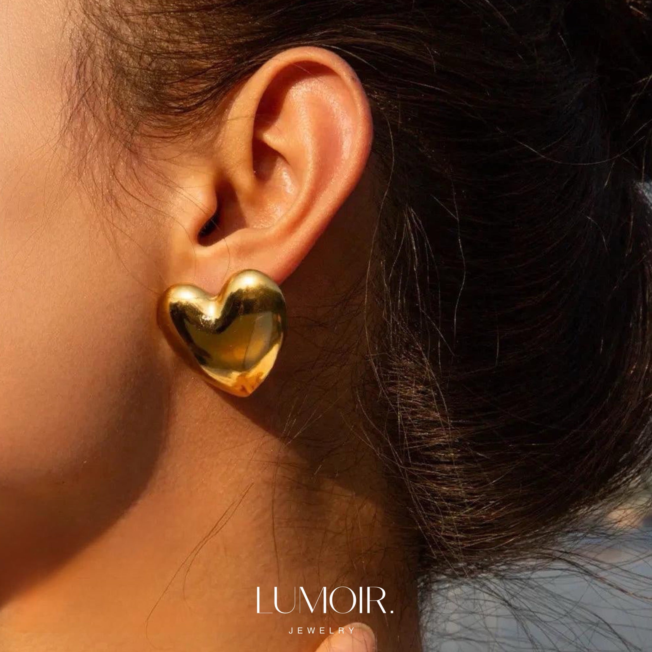 Stainless steel earrings Lunara