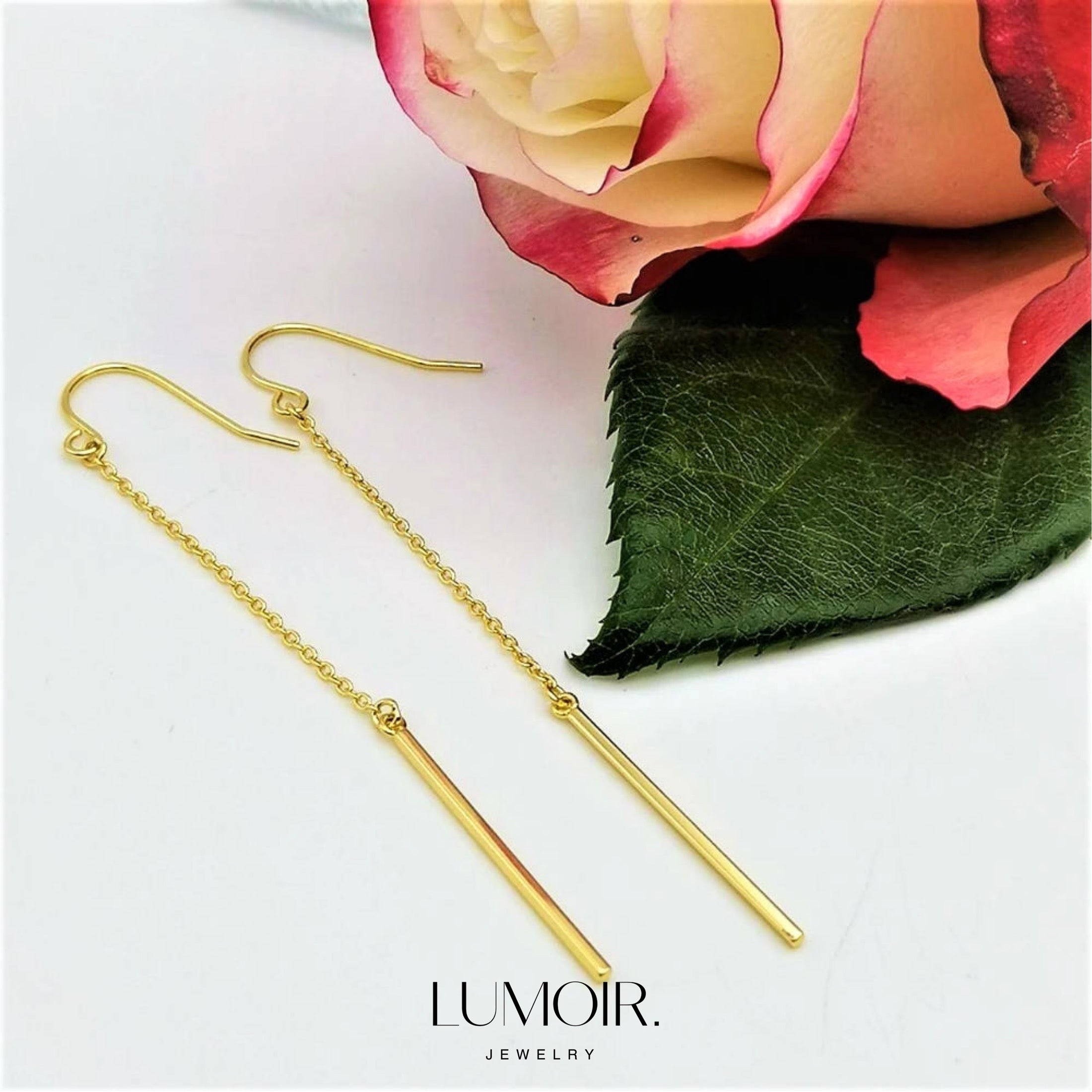 Sany stainless steel earrings