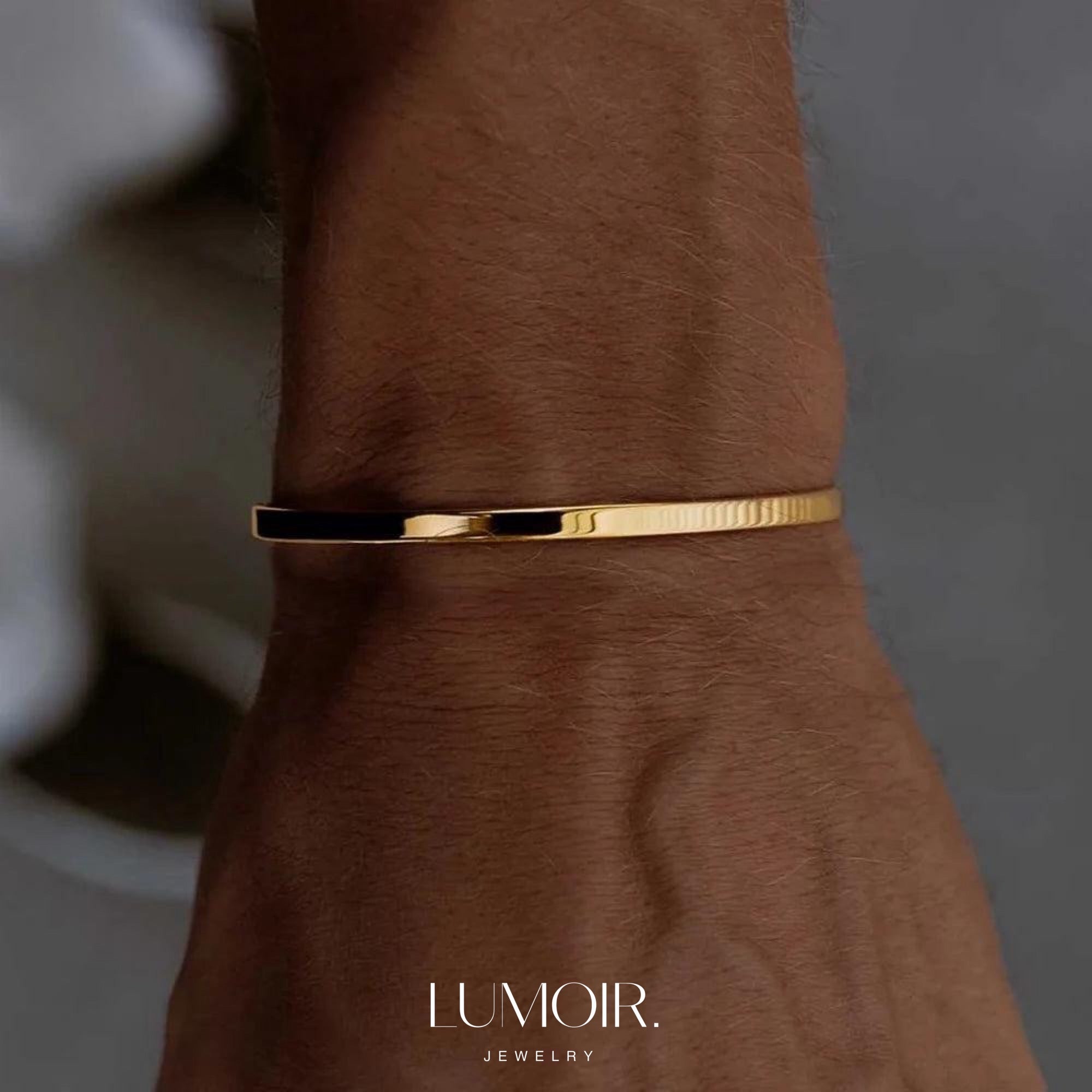 Stainless steel bracelet Troi