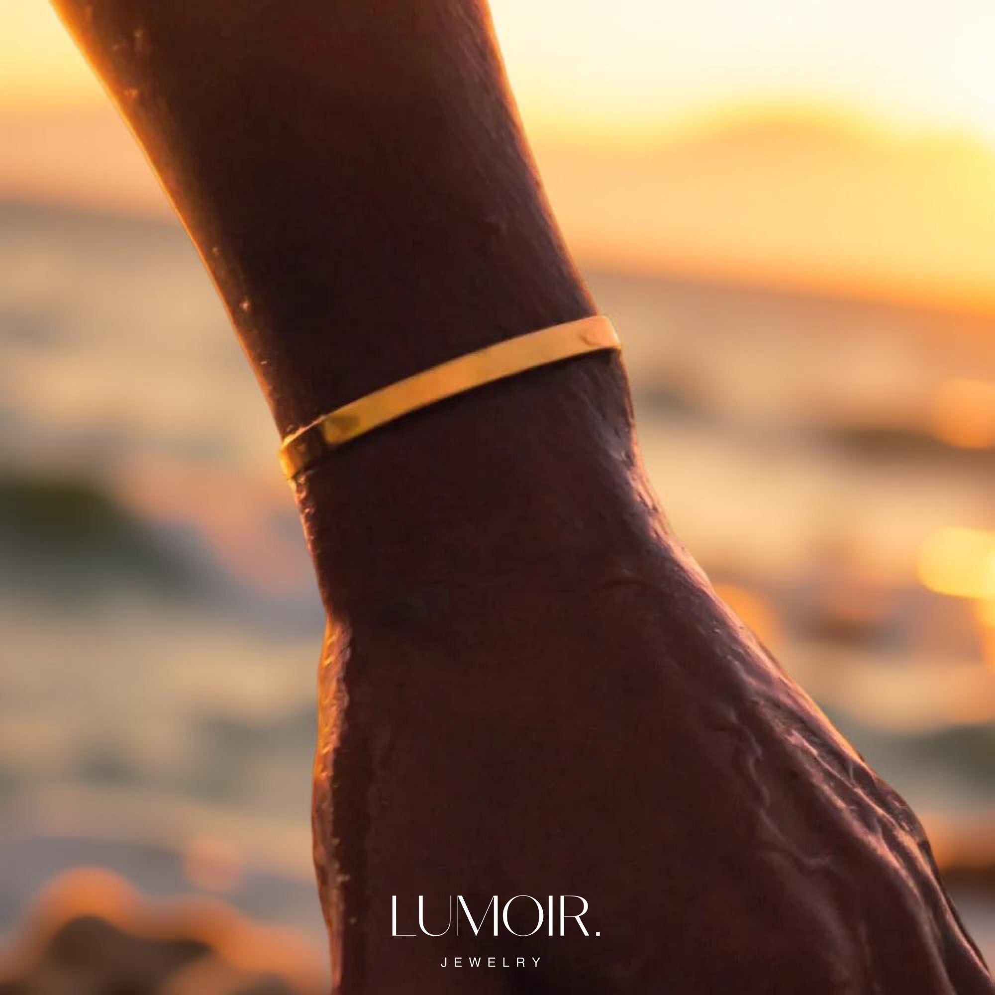 Stainless steel bracelet Troi